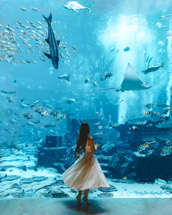 Atlantis the Palm twirling in front of the aquarium by Dancing the Earth