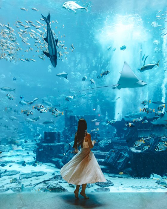 Atlantis the Palm twirling in front of the aquarium by Dancing the Earth