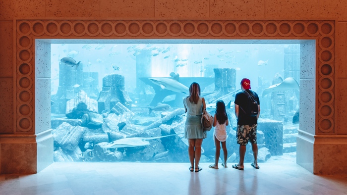 Atlantis the Palm aquarium by Dancing the Earth