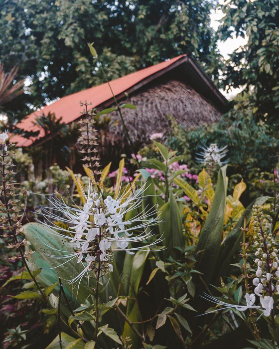 Pension Tupuna in Huahine by Dancing the Earth
