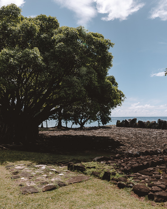 French Polynesia travel guide Marae Taputapuatea biggets tree in raiatea by Dancing the Earth