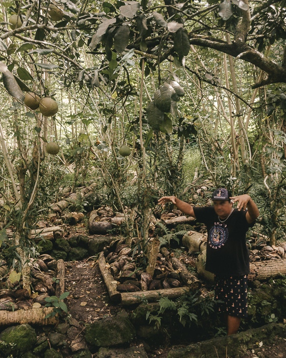 French Polynesia travel guide Vanilla valley in Taha'a by Dancing the Earth