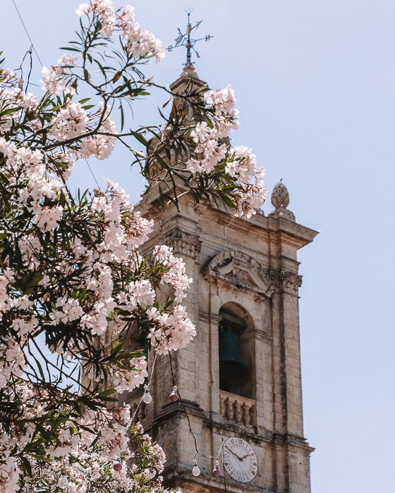 Ir-Rabat St Paul Cathedral details by Dancing the Earth