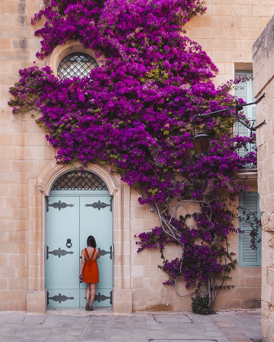 Malta travel guide Mdina bougainvilleas house by Dancing the Earth