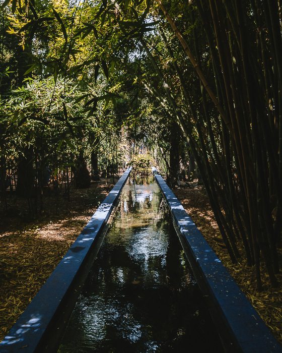 Jardin Majorelle bamboos and river by Dancing the Earth