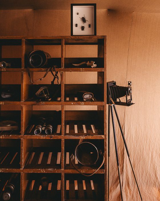 Miscellaneous shelves in the living room of Scarabeo Camp by Dancing the Earth