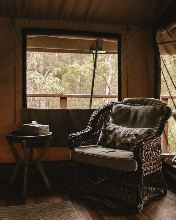 Paperbark Camp deluxe tent tent inside by Dancing the Earth