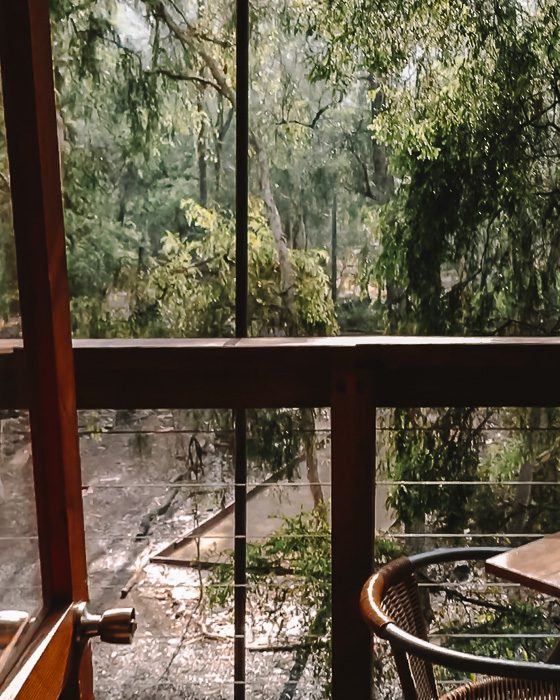 Paperbark Camp view from the Gunyah by Dancing the Earth