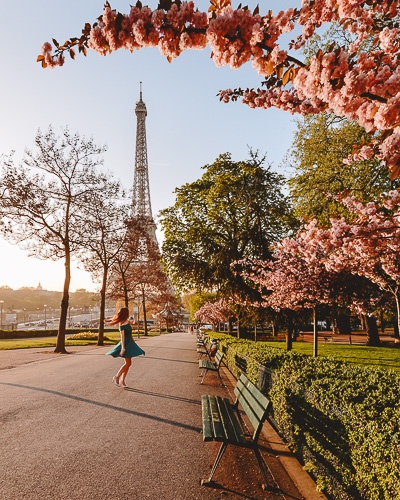 Spring in Paris Eiffel Tower and cherry blossoms by Dancing the Earth