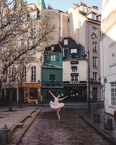 Spring in Paris Bradford Pears flowers by Dancing the Earth