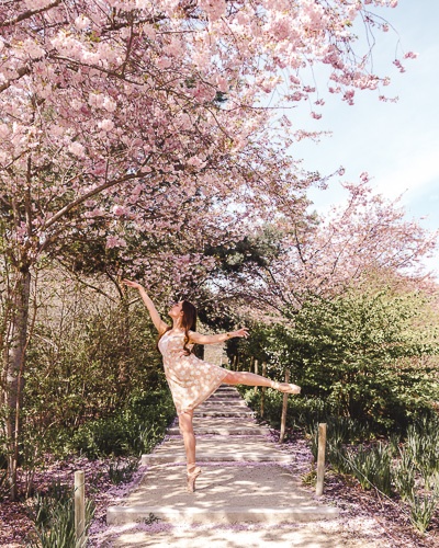 Spring in Paris cherry blossoms Parc Martin Luther King by Dancing the Earth