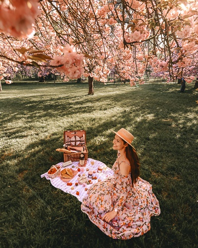 Spring in Paris hanami in Parc de Sceaux by Dancing the Earth