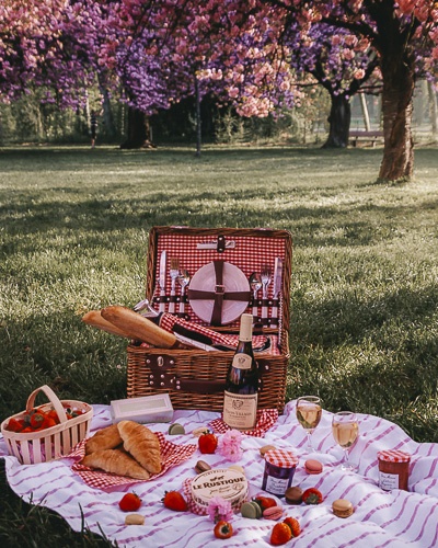 picnic under the cherry blossoms in Parc de Sceaux by Dancing the Earth