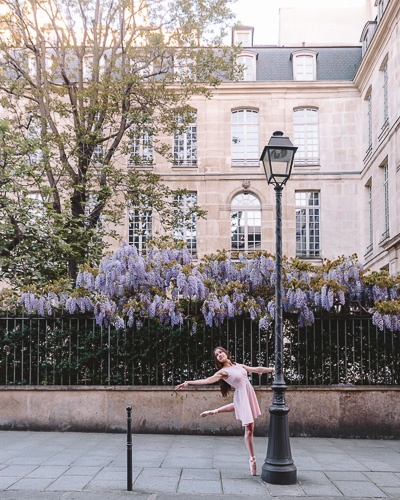 Spring in Paris wisteria by Dancing the Earth