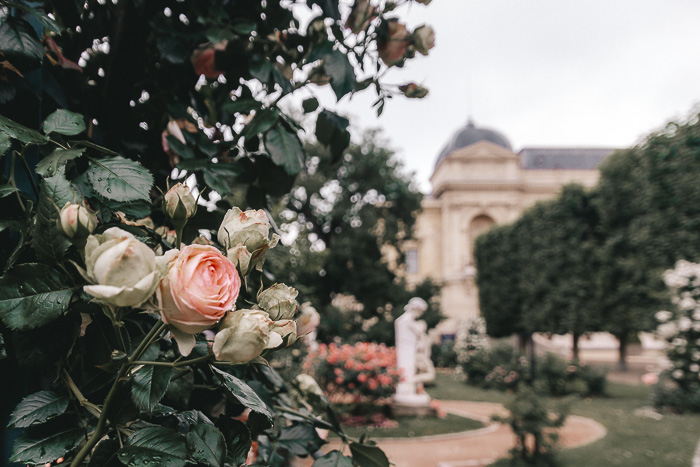 Jardin des Plantes roses by Dancing the Earth