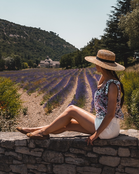 Senanque Abbey and lavender fields by Dancing the Earth