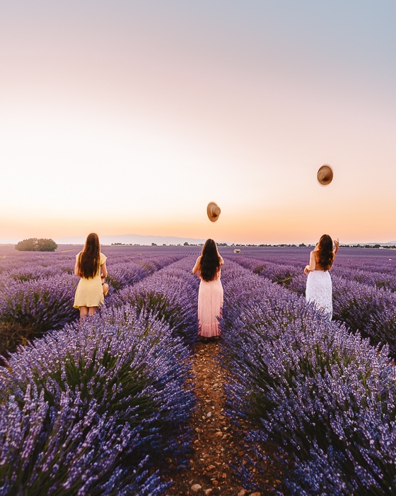 Provence lavender fields at sunset by Dancing the Earth