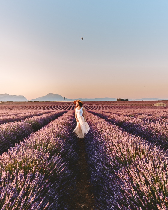 Provence sunrise in the lavender fields by Dancing the Earth
