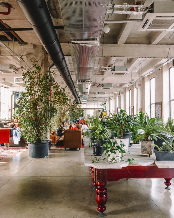 Tbilisi La Fabrika coworking space by Dancing the Earth