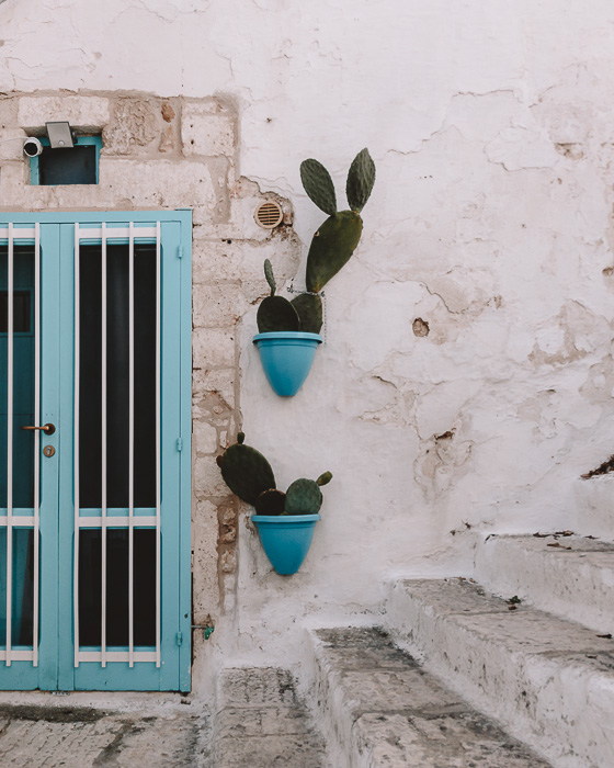 Windows and cacti in Ostuni