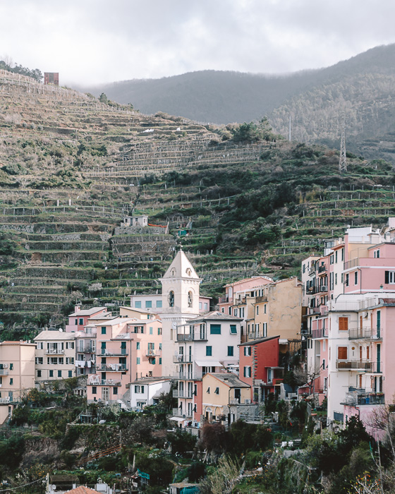 Vineyards of Riomaggiore, Liguria and Cinque Terre travel guide by Dancing the Earth