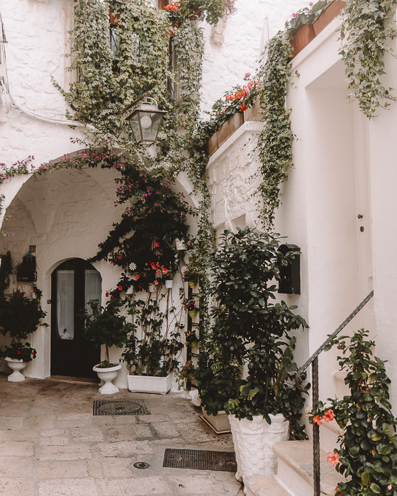 Flower wall in Cisternino