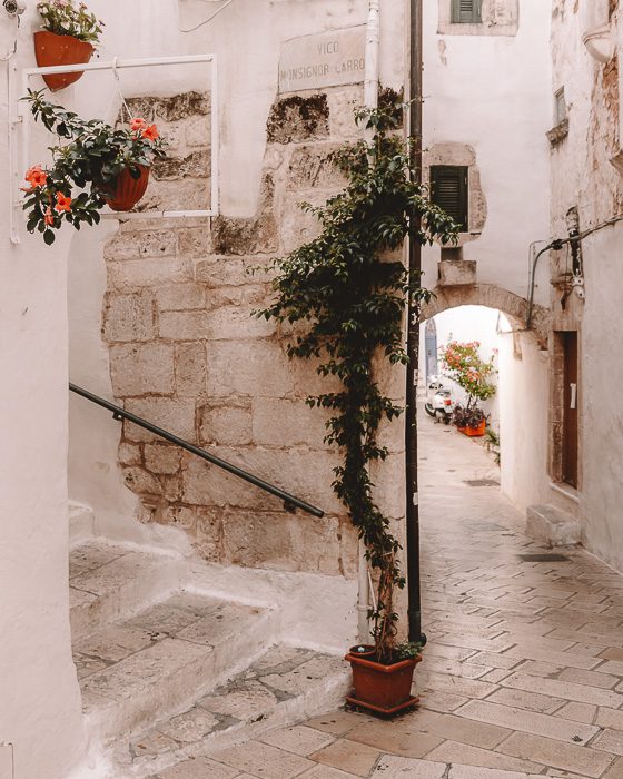 Cute corner and staiways in Ostuni