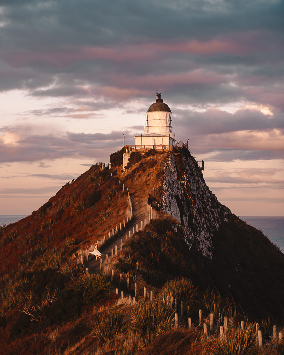 Golden light on Nugget Point Lighthouse, Dancing the Earth