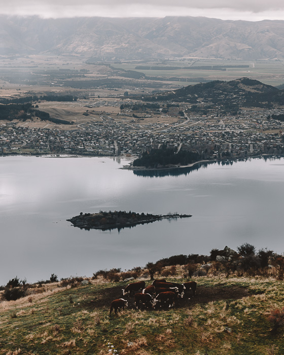 View on Ruby Island and Wanaka on the way up to Roys Peak, Dancing the Earth