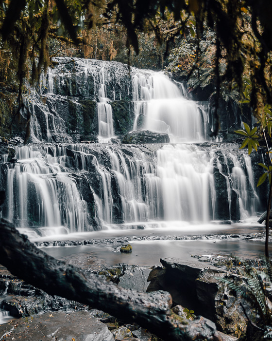 Tree-framed Purakaunui Falls, Dancing the Earth