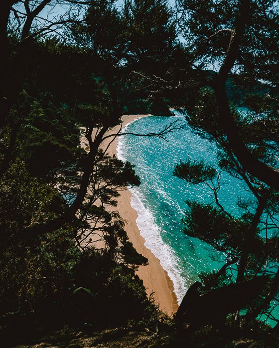 Abel Tasman, north coast, Dancing the Earth