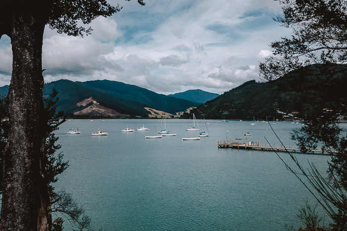 Anakiwa wharf from the track, best day hikes in the South Island, Dancing the Earth