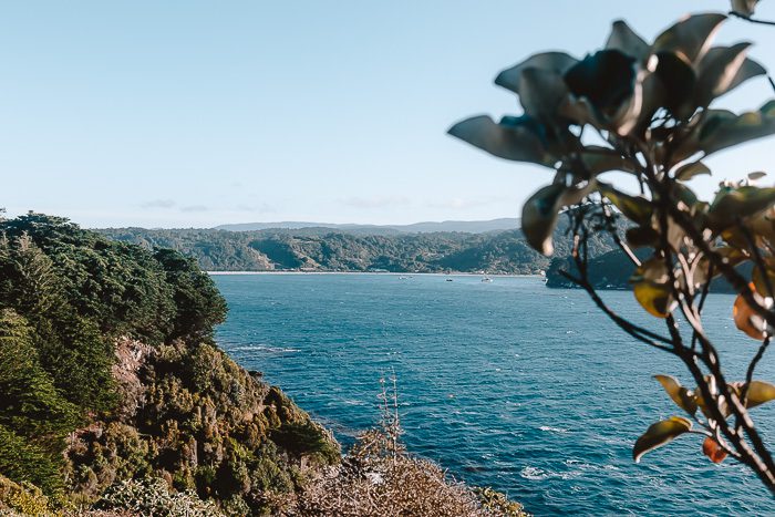 Horseshoe Bay, Dancing the Earth