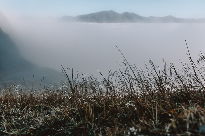 Morning dew, Dancing the Earth