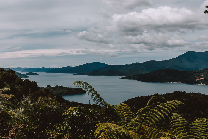 Queen Charlotte Track, best day hikes in the South Island, Dancing the Earth