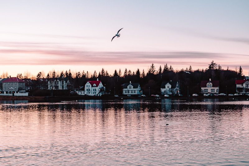 Reykjavik sunset on a lake, Dancing the Earth