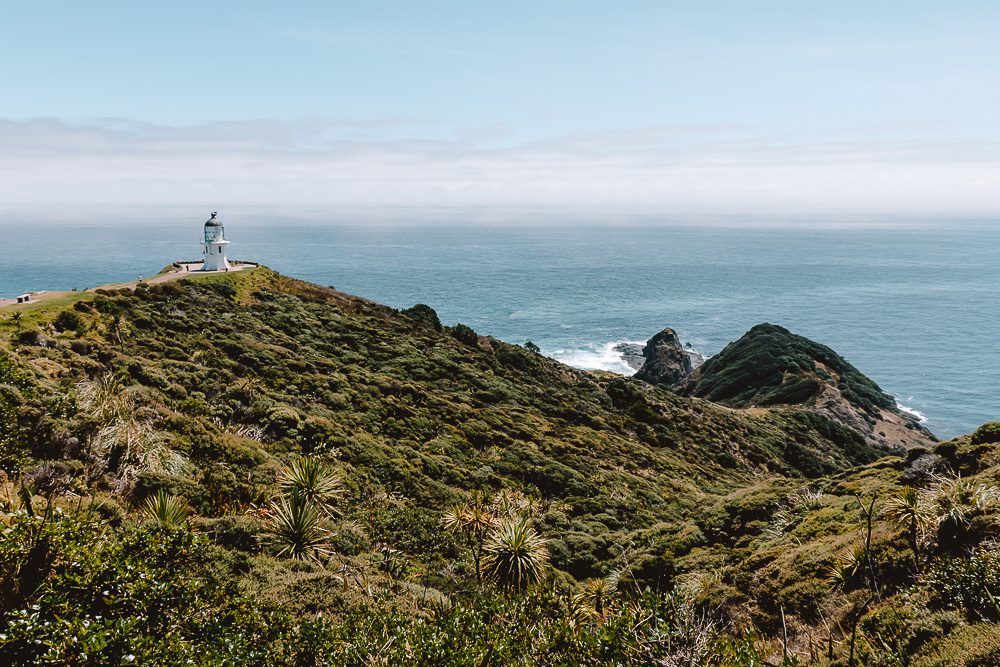 Cape Reinga, Dancing the Earth