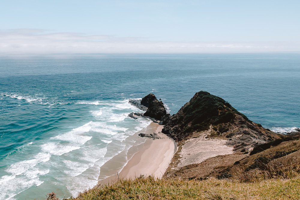 Sacred Pohutukawa in Cape Reinga, Dancing the Earth