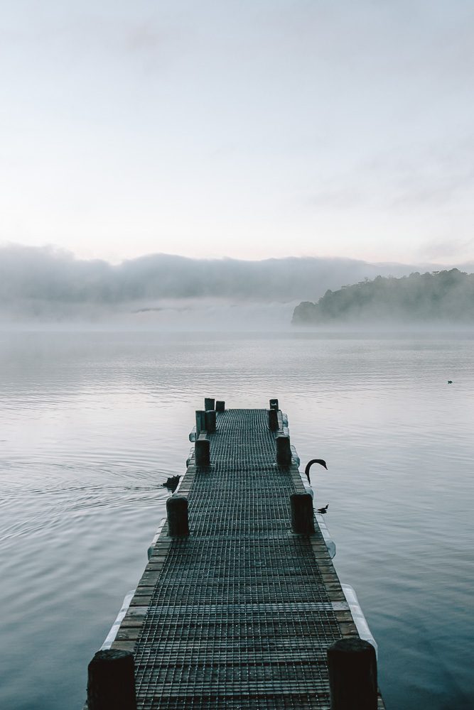 Lake Tarawera jetty and swans, Dancing the Earth