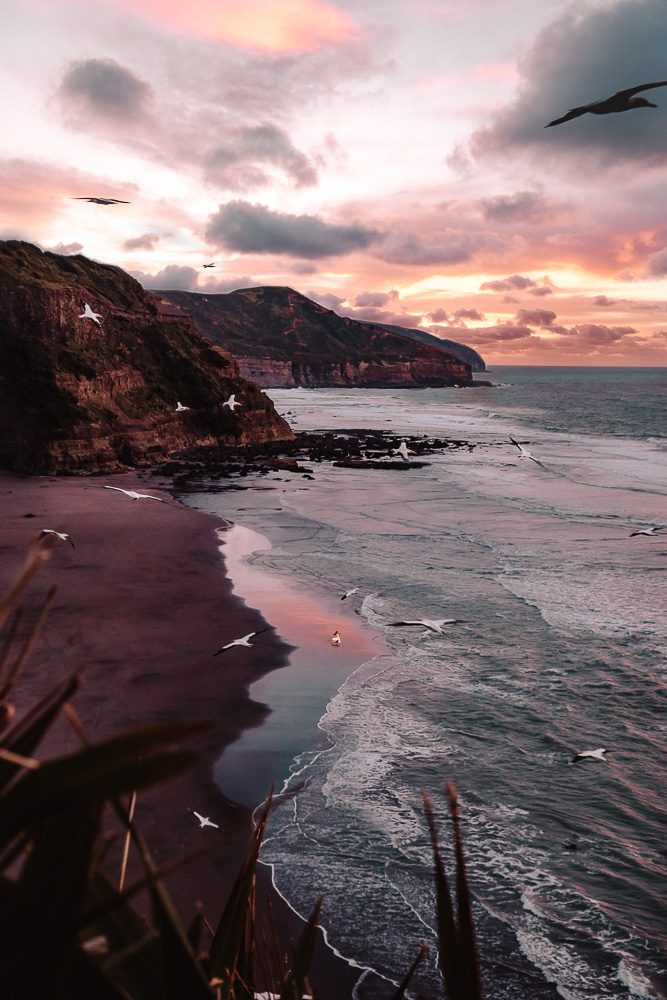 Muriwai Beach at sunset, Dancing the Earth