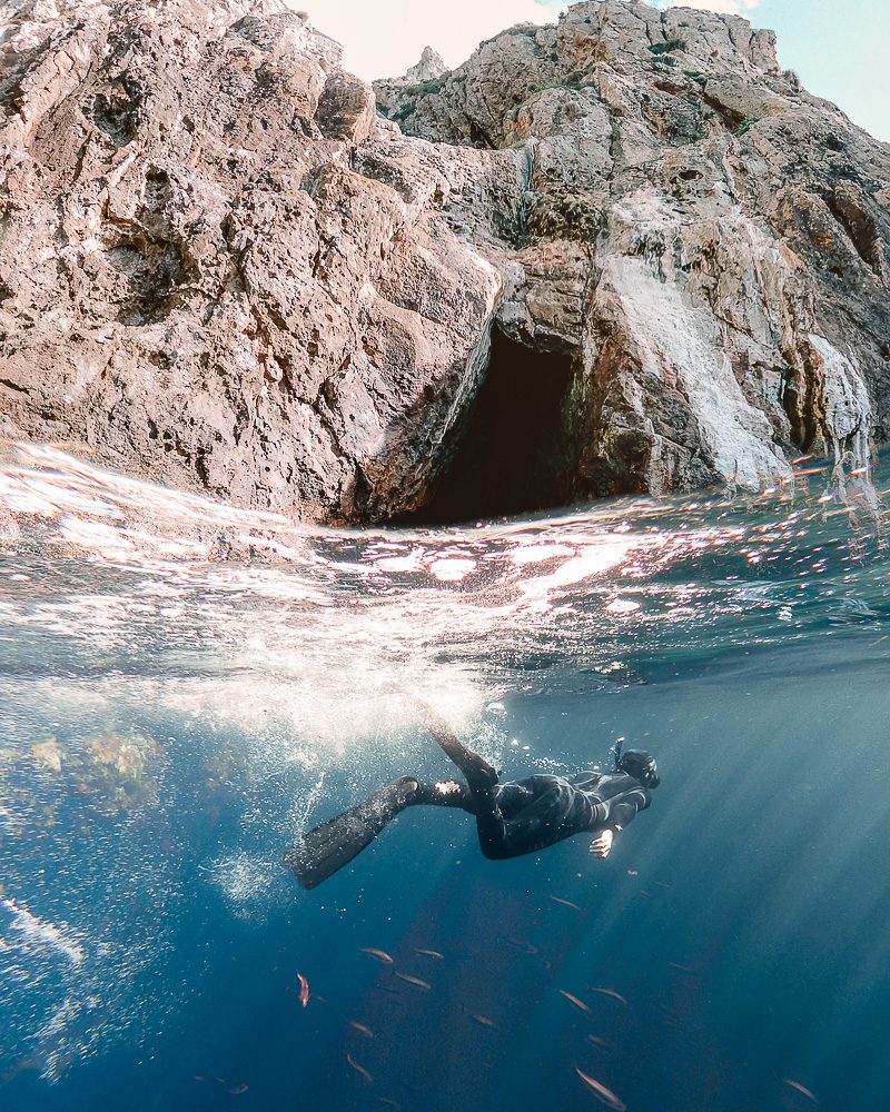Snorkeling in the Poor Knights Islands, North Island Photography Spots, Dancing the Earth