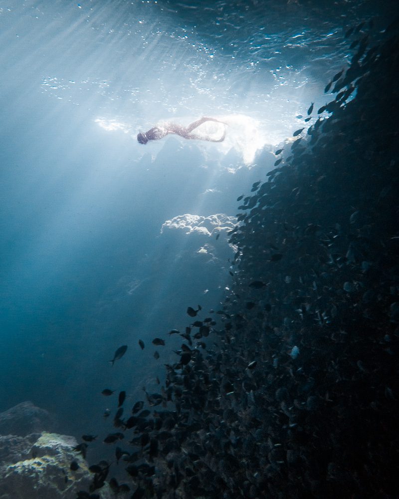 Poor Knights Islands, Dancing the Earth