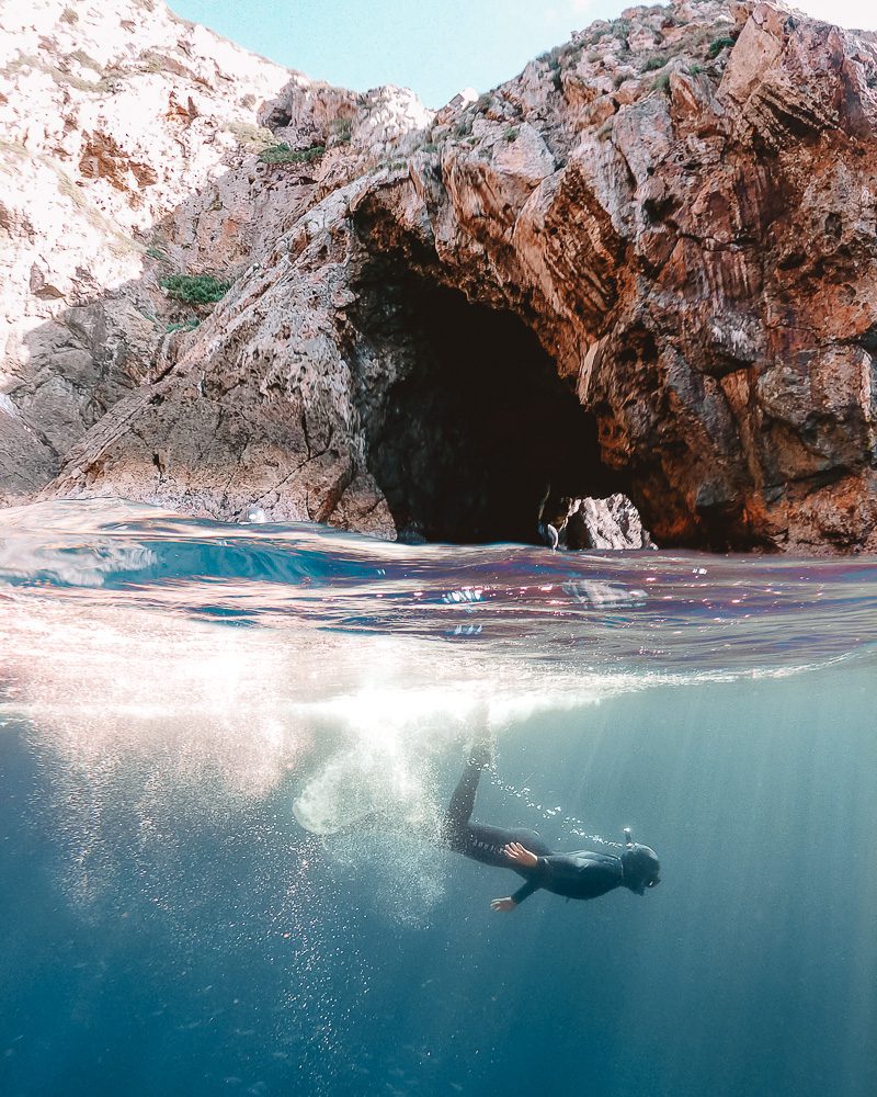 Diving in the Poor Knights Islands, North Island Photography Spots, Dancing the Earth