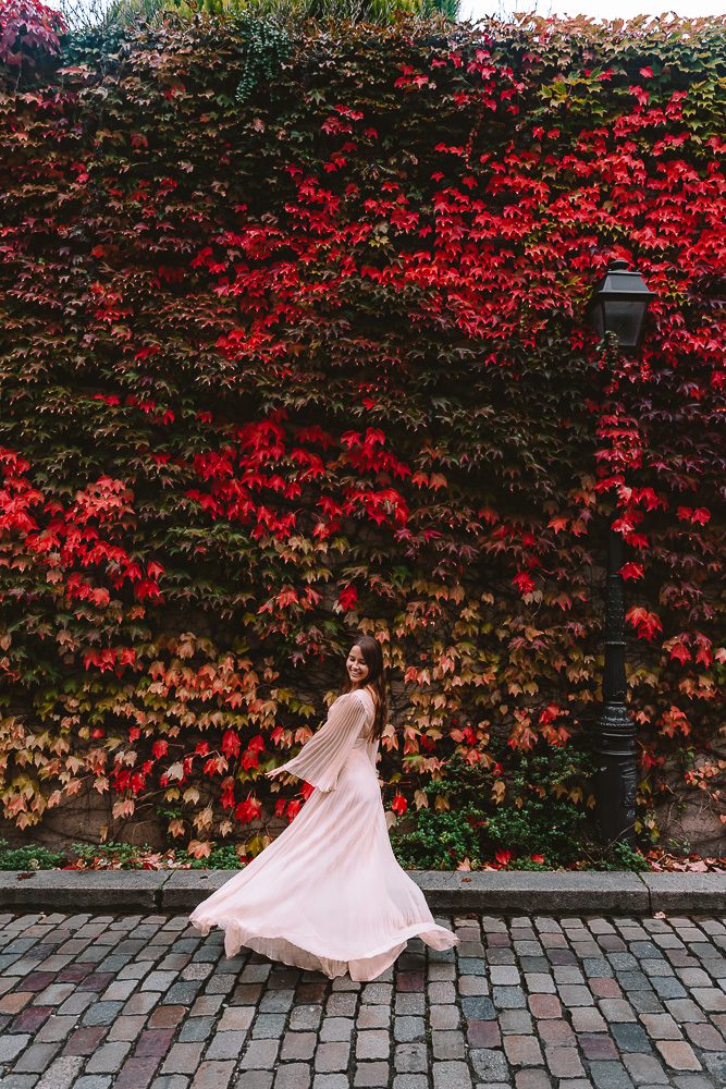 Autumn in Montmartre, Ivy wall, by Dancing the Earth