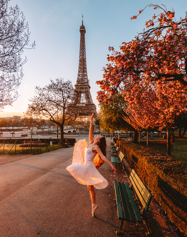 Kanzan cherry blossoms and Eiffel Tower at sunrise, Dancing the Earth