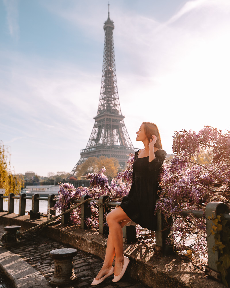 Wisteria and Eiffel Tower, Dancing the Earth