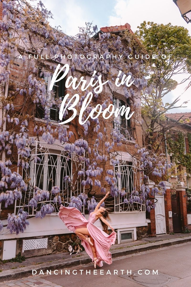 BLOOM, Paris