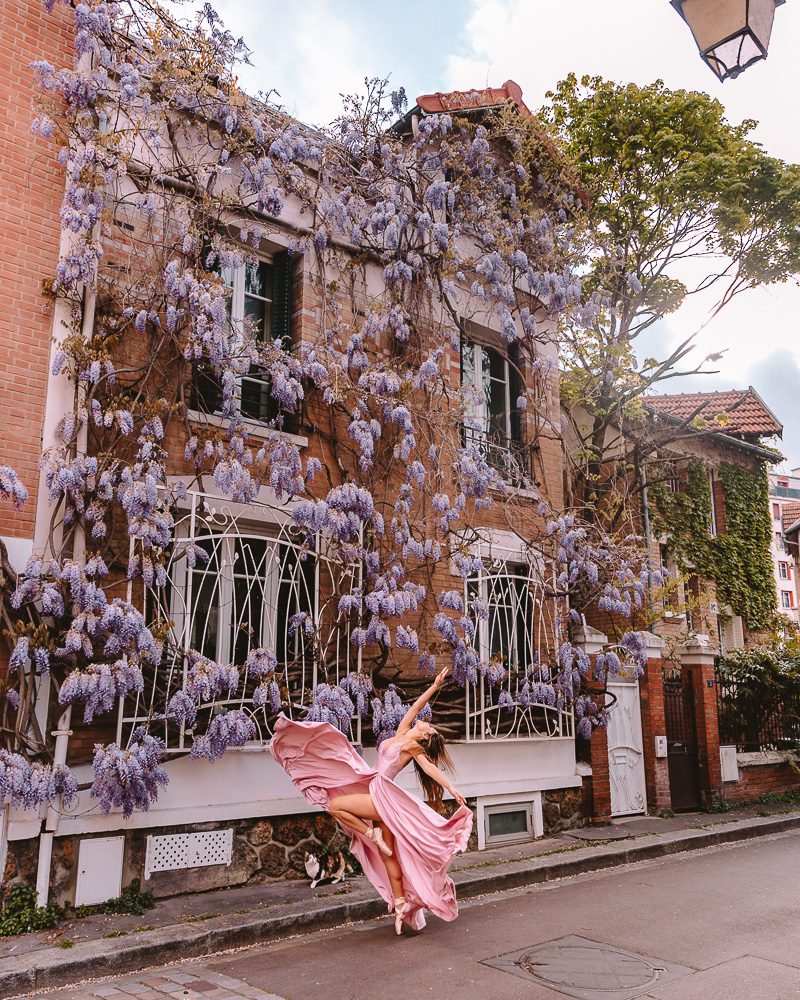 Paris in spring, wisteria at la Cit&eacute; Florale, Dancing the Earth