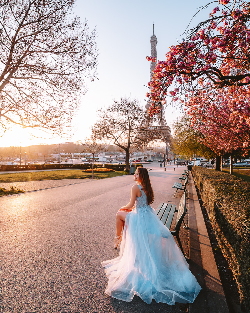 Paris in Bloom, cherry blossoms and Eiffel Tower, Dancing the Earth