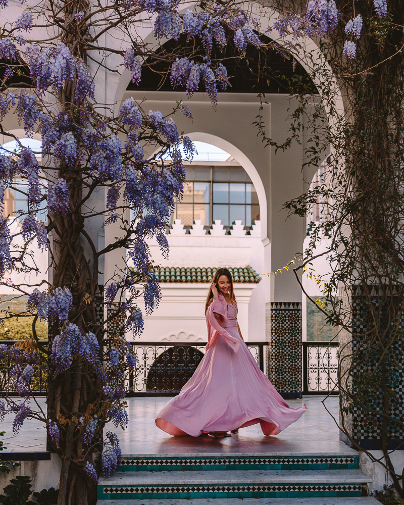 Paris in Bloom, wisteria at the Grande Mosquée, Dancing the Earth